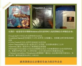 商界巔峰 日用百貨銷售的輝煌歷程